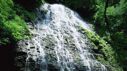 精密高标准