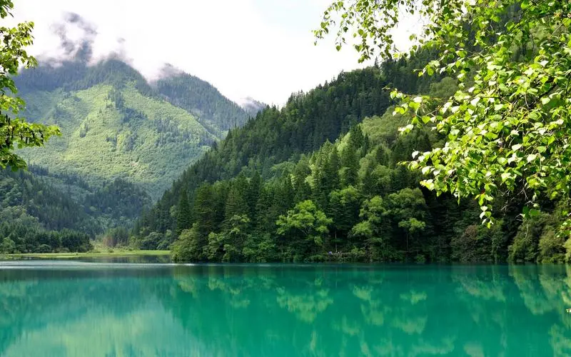 高端智能
